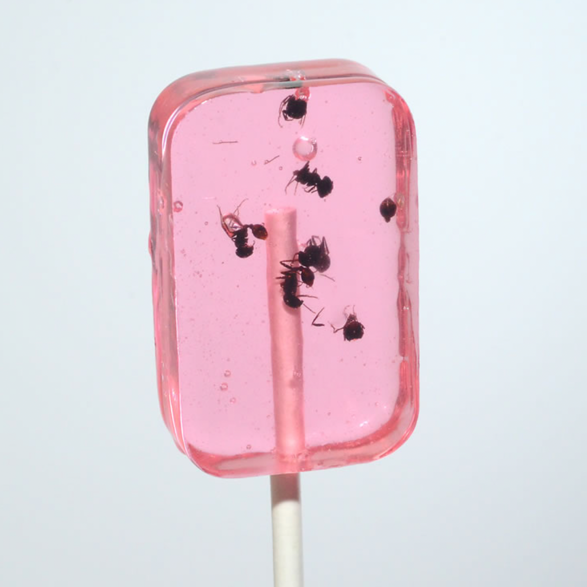 ANT-LIX Suckers / Watermelon Flavour