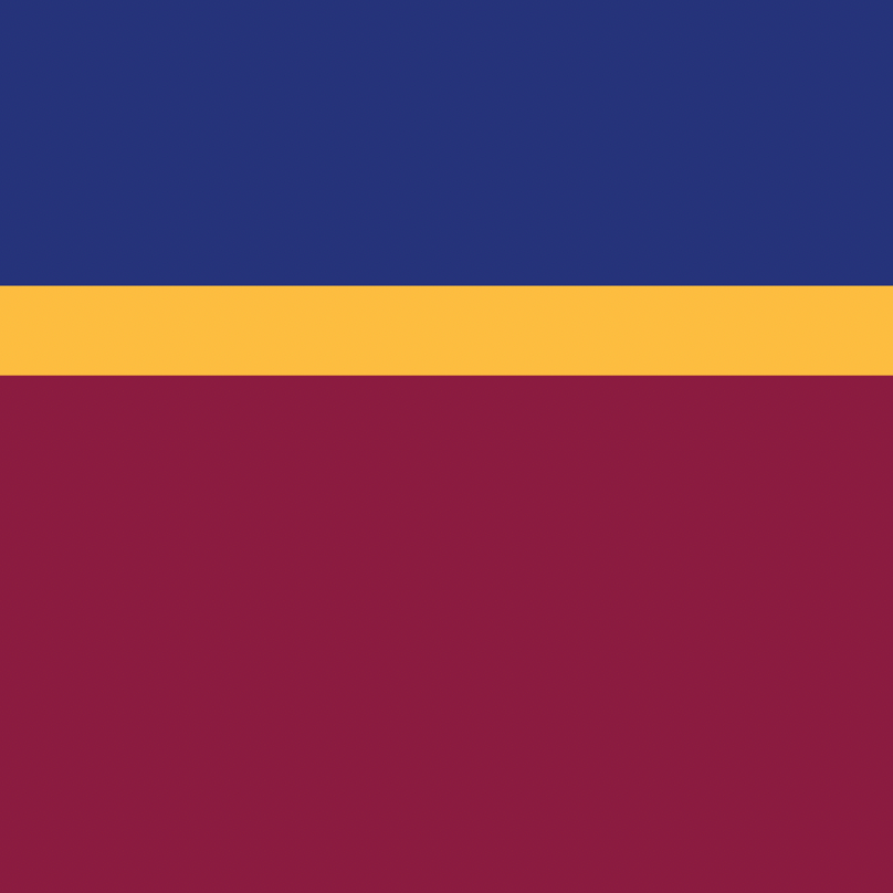 Brisbane Lions