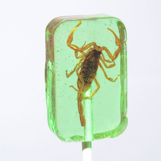 Scorpion Suckers Lollipop/ Apple Flavour