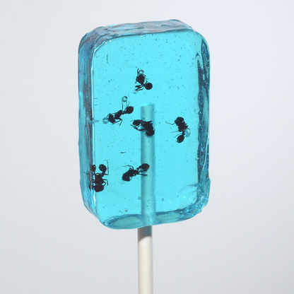 ANT-LIX Suckers / Blueberry Flavour