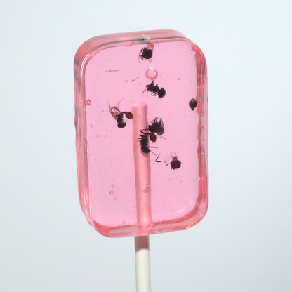 ANT-LIX Suckers / Watermelon Flavour