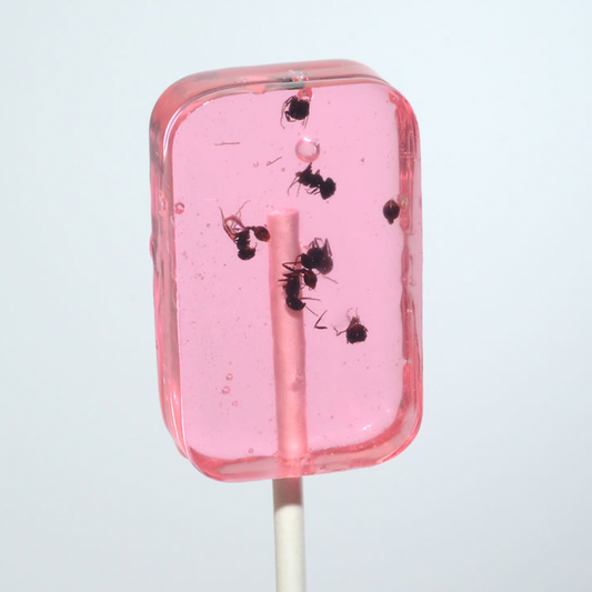 ANT-LIX Suckers / Watermelon Flavour