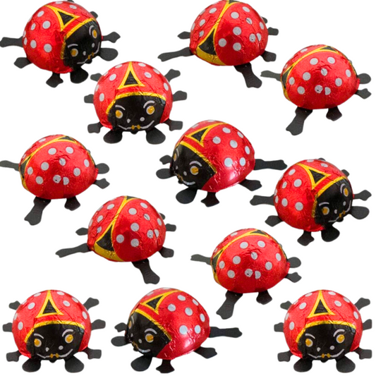 Chocolate Ladybird / Storz - 6g