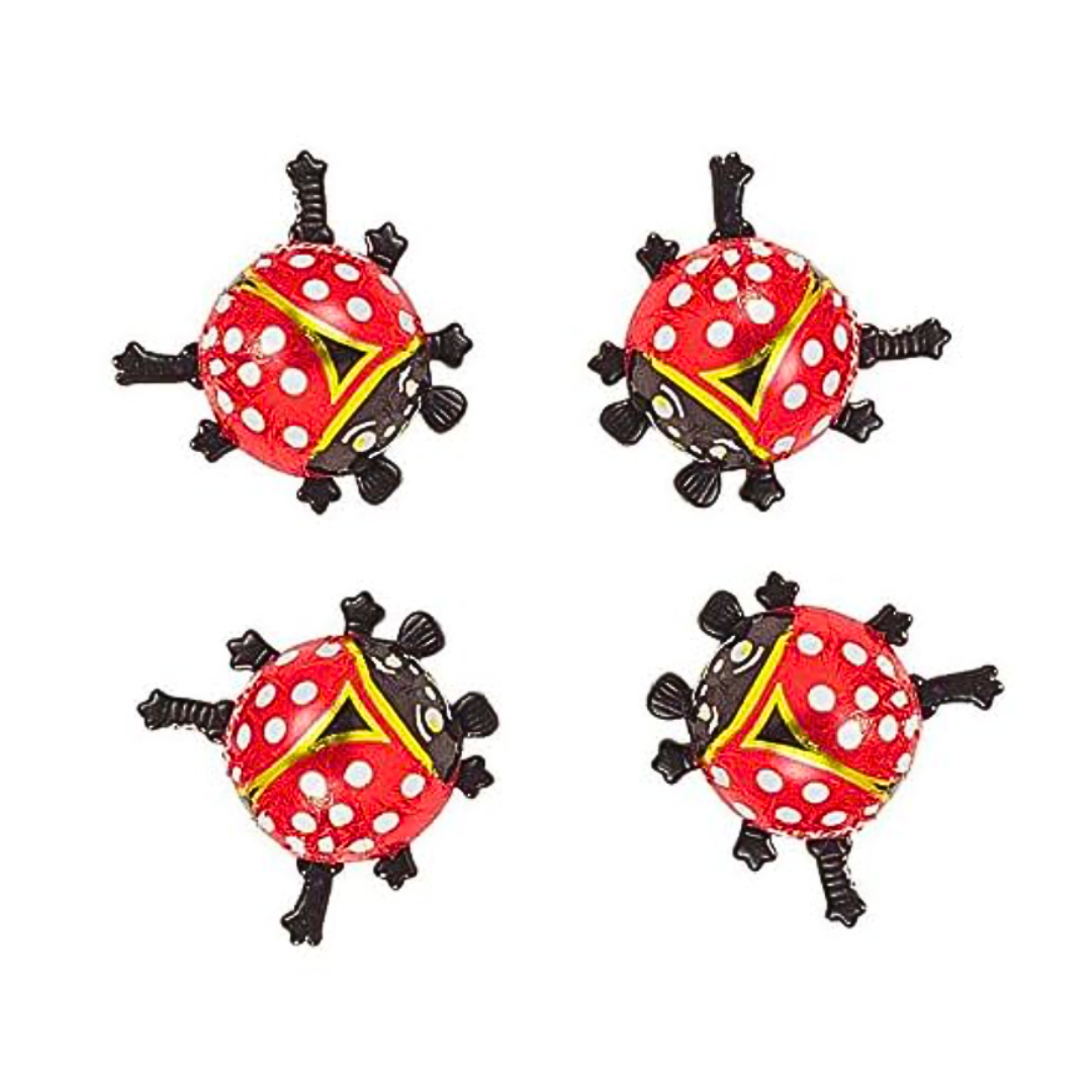 Chocolate Ladybird / Storz - 6g